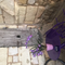 aurelier_5a18