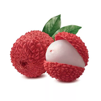 100 gramme(s) de litchis appertisés (au sirop)