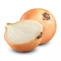 2 oignons blancs