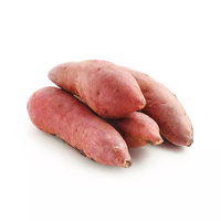 800 gramme(s) de patate(s) douce(s)
