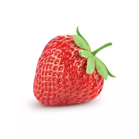 100 gramme(s) de purée de fraise Capfruit