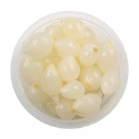 12 petits oignons grelots