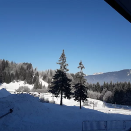 sandrab_2206