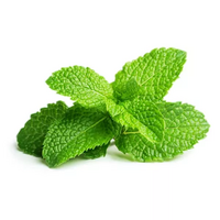 5 feuille(s) de menthe