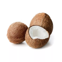 140 gramme(s) de lait de coco