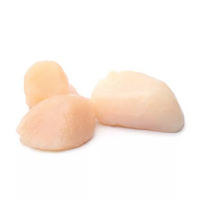 18 coquille(s) saint-jacques