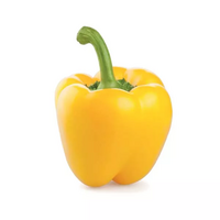 140 gramme(s) de poivron jaune