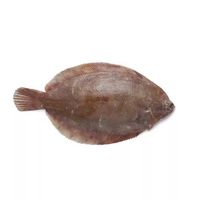 12 filet(s) de sole