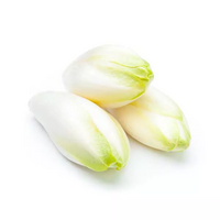 500 gramme(s) d'endive(s)