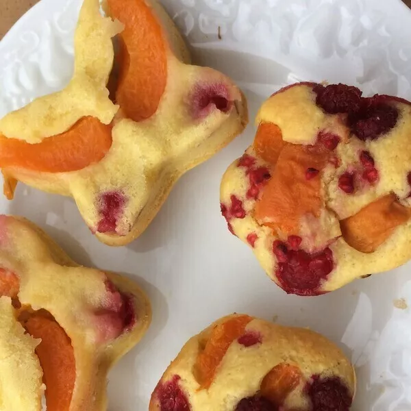 Moelleux abricot framboise