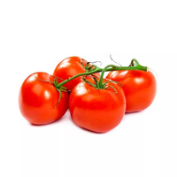 12 Tomates grappes