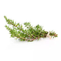 1 branche(s) de thym