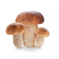 2 c.à.c de cèpe(s) séché(s)