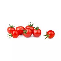 6 tomate cerise 