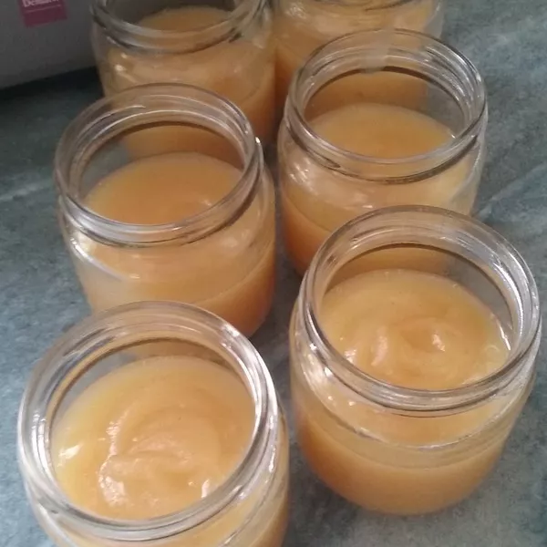 Compote Multifruits